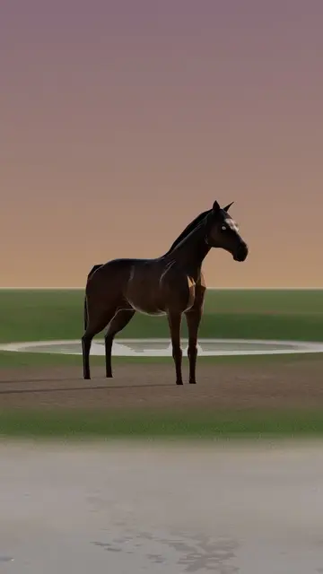 Rigged 3D model