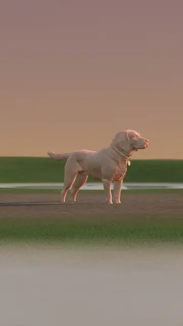 Rigged 3D model