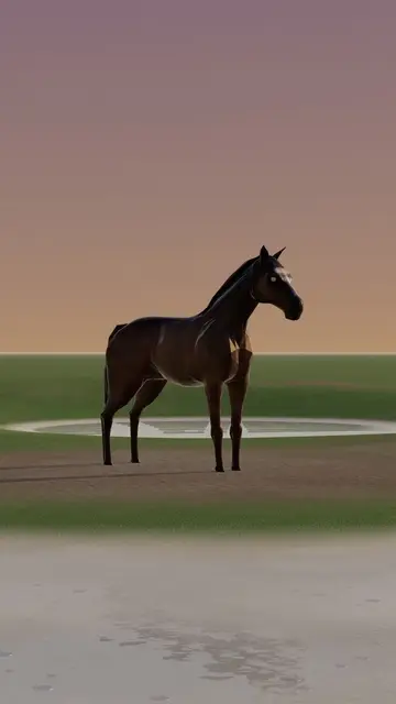Rigged 3D model
