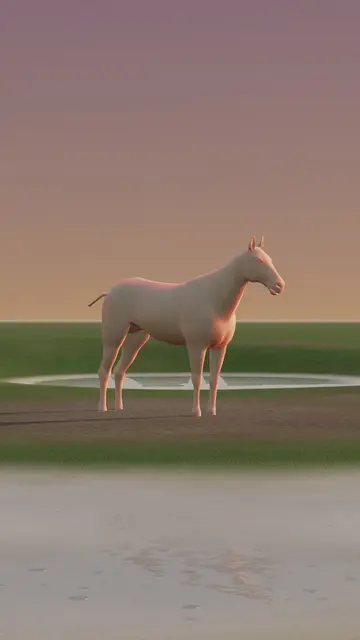 Rigged 3D model