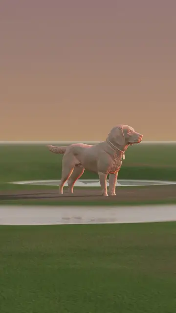 Rigged 3D model