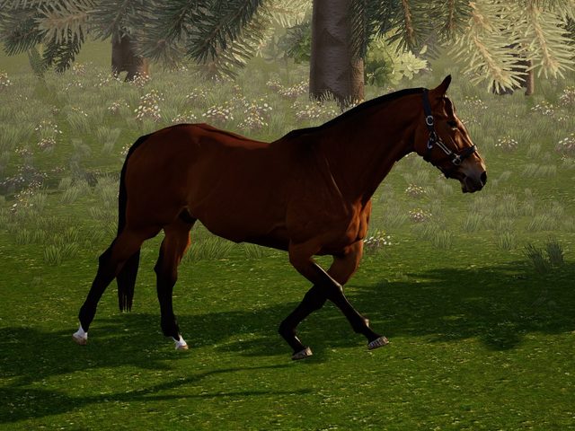 A brown horse rigged by AutoRig V3 in a viewer scene