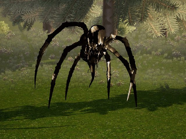 A spider with eight legs in a viewer scene