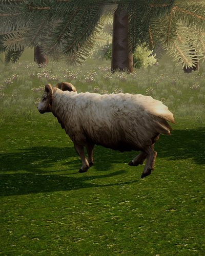 A sheep rigged by AutoRig V3