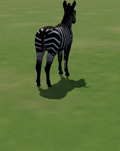 A zebra rigged by AutoRig V3