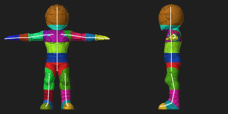 Skin weights and skeleton of a rigged biped, front and side view