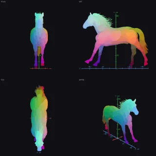 A horse: skeleton and skin weights in four views