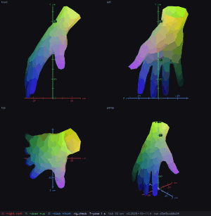 Finger clip frames of a rigged human hand: front, side and top views