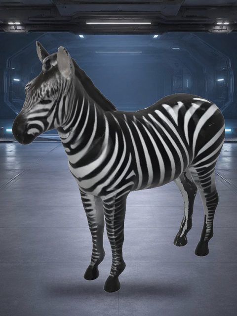A rigged zebra, an equine