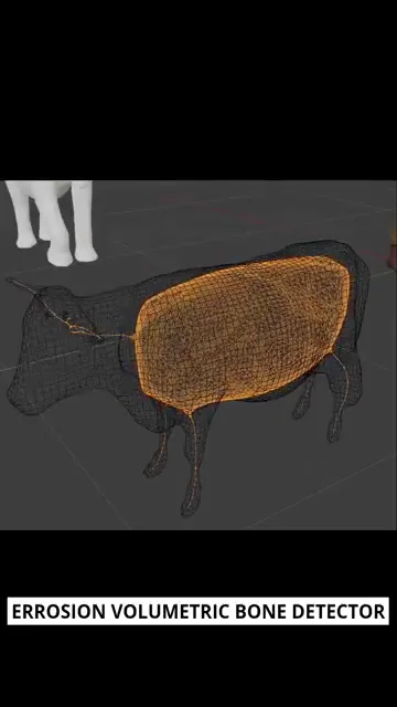 Erosion volumetric bone detector frame from AutoRig presentation
