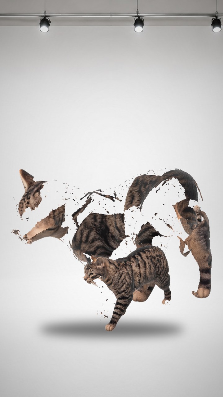 Realistic Bengal Cat low-poly 3d model